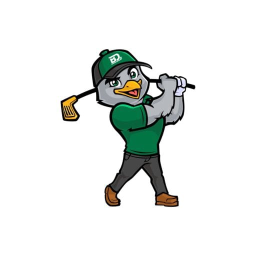 The Birdie Den 6 FAQS